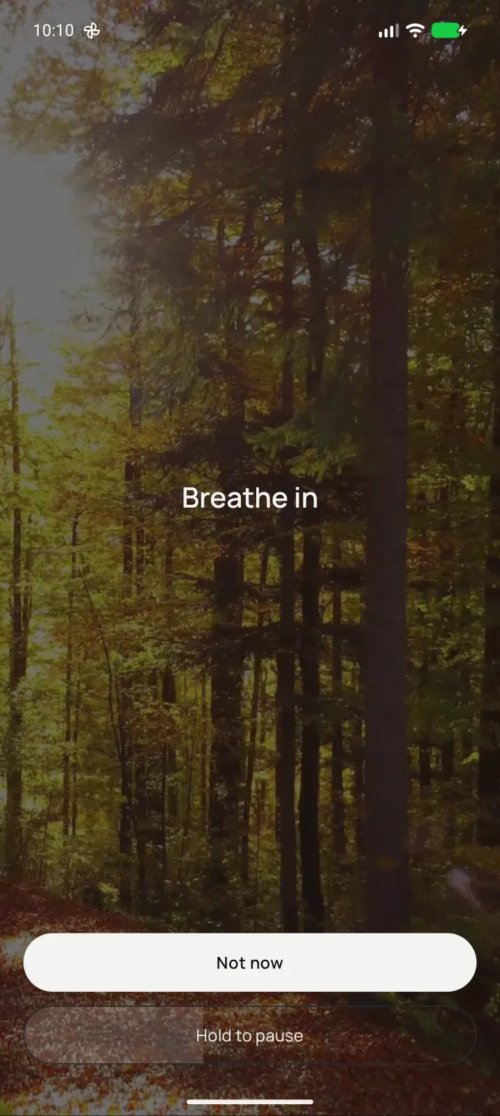 A breathing pause before an app opens